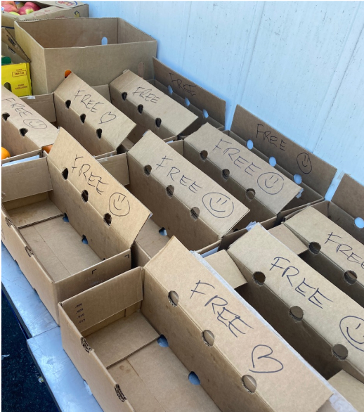 Boxes with Free written on them ready to be filled with groceries